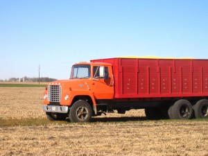 Corn Harvest in Minnesota 2006