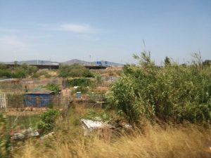 Illegal gardens in Agrarian Park Baix Llobregat.